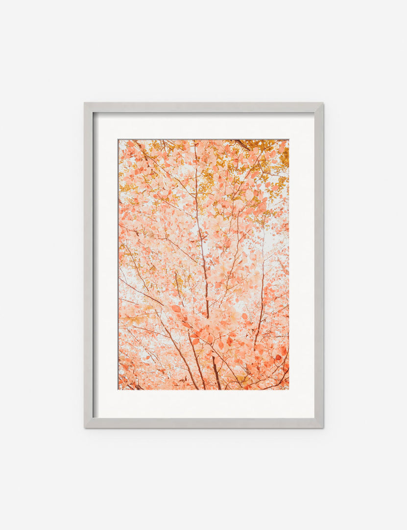 #frame-option::framed #color::silver #size::135--x-175- #size::215--x-295- #size::255--x-355- | Pastel Fall Tree Photography Print in a silver frame