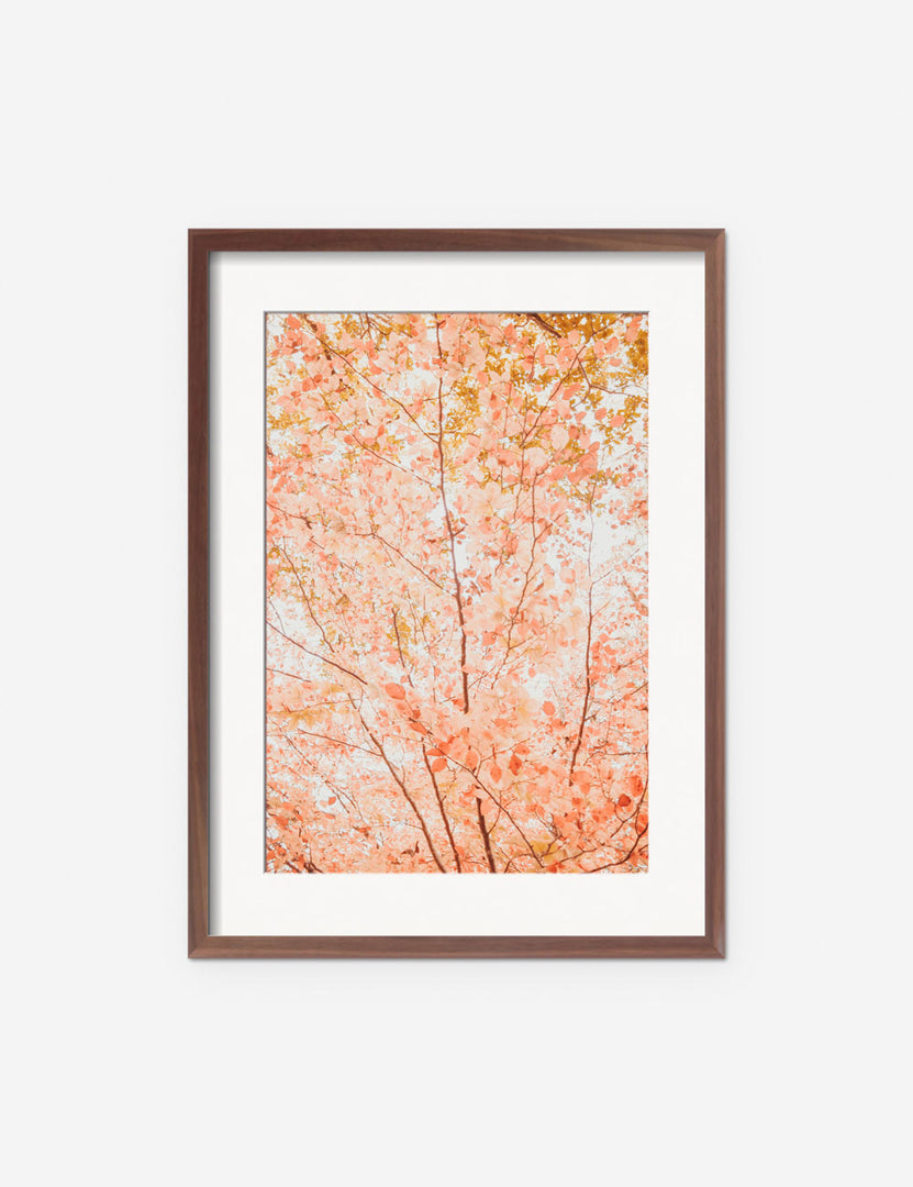 #frame-option::framed #color::walnut #size::135--x-175- #size::215--x-295- #size::255--x-355- | Pastel Fall Tree Photography Print in a walnut frame