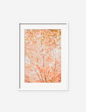 Pastel Fall Tree Photography Print in a white frame