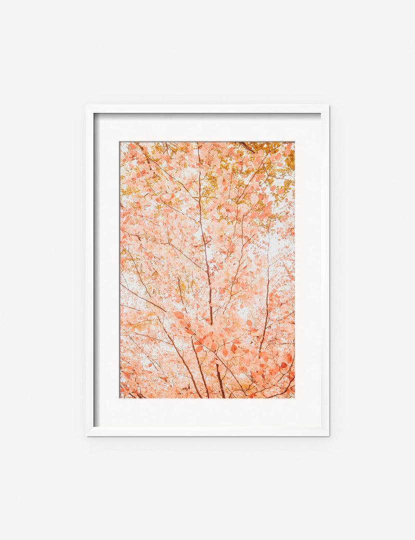 #frame-option::framed #color::white #size::135--x-175- #size::215--x-295- #size::255--x-355- | Pastel Fall Tree Photography Print in a white frame