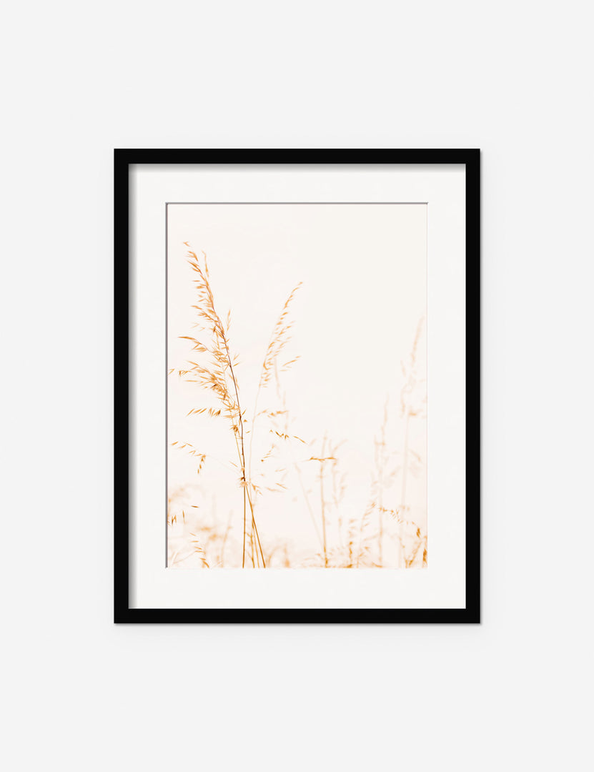 #frame-option::framed #color::black #size::145--x-175- #size::235--x-295- #size::295--x-375- | Wild Grass Photography Print in a black frame featuring wildgrass against a featureless sky by Ingrid Beddoes