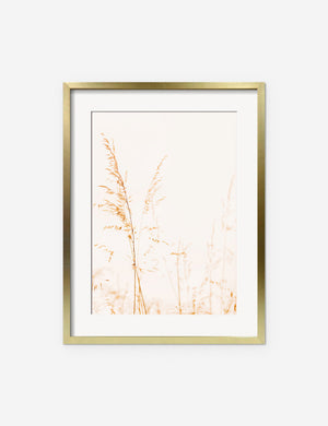 Wild Grass Photography Print in a gold frame