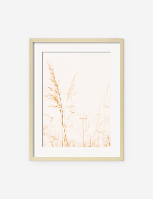 Wild Grass Photography Print in a natural frame