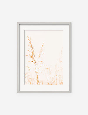 Wild Grass Photography Print in a silver frame