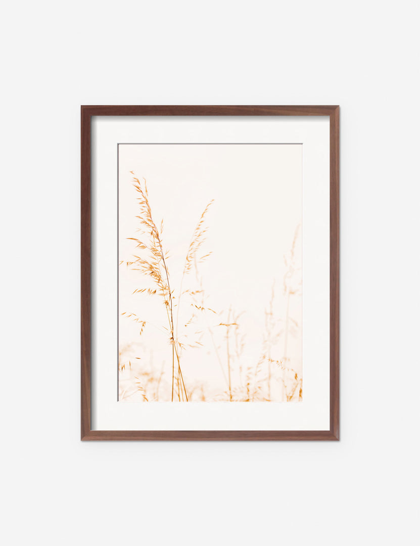 #frame-option::framed #color::walnut #size::145--x-175- #size::235--x-295- #size::295--x-375- | Wild Grass Photography Print in a walnut frame