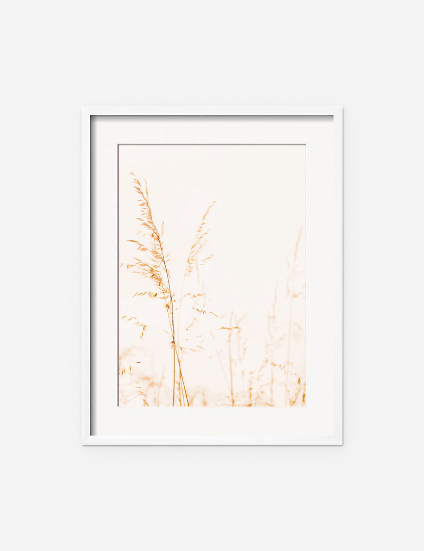 #frame-option::framed #color::white #size::145--x-175- #size::235--x-295- #size::295--x-375- | Wild Grass Photography Print in a white frame