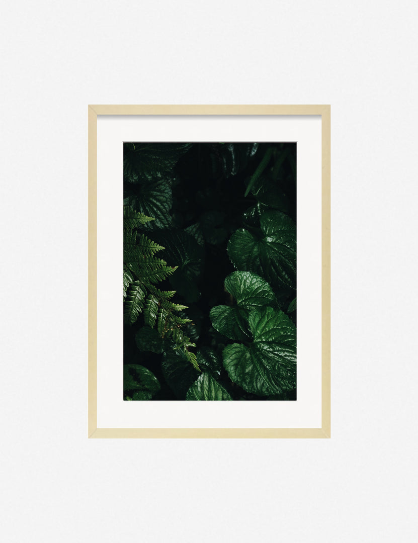 #color::natural #size::13.5--x-17.5-- #size::21.5--x-29.5-- #size::25.5--x-35.5-- | Still Life 14 Photography Print in a natural frame