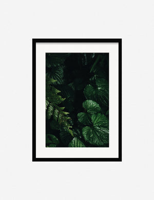 Still Life 14 Photography Print in a black frame that features plants by Ashley Johnson
