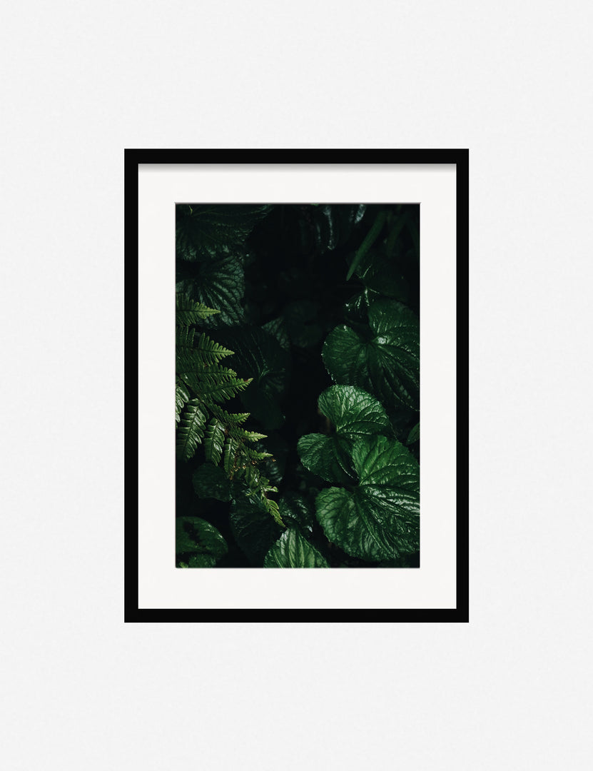 #color::black #size::13.5--x-17.5-- #size::21.5--x-29.5-- #size::25.5--x-35.5-- | Still Life 14 Photography Print in a black frame that features plants by Ashley Johnson