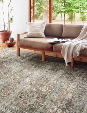 Amalia distressed traditional rug lays under a brown cushioned couch in a living room with house plants