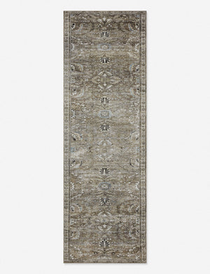 Amalia distressed traditional rug in its runner size
