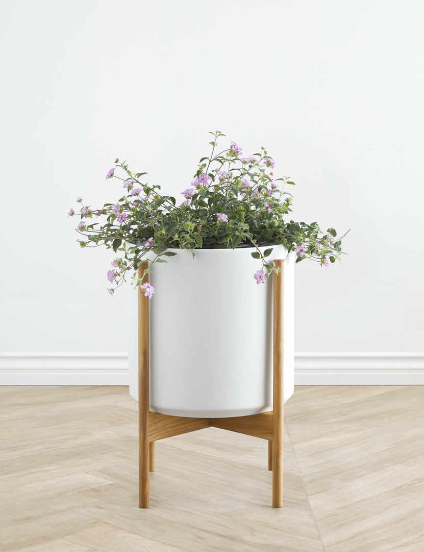 white plant pot with wooden stand Ceramic Planter Pot + Teak Stand by LBE Design, Black, 10" Diameter