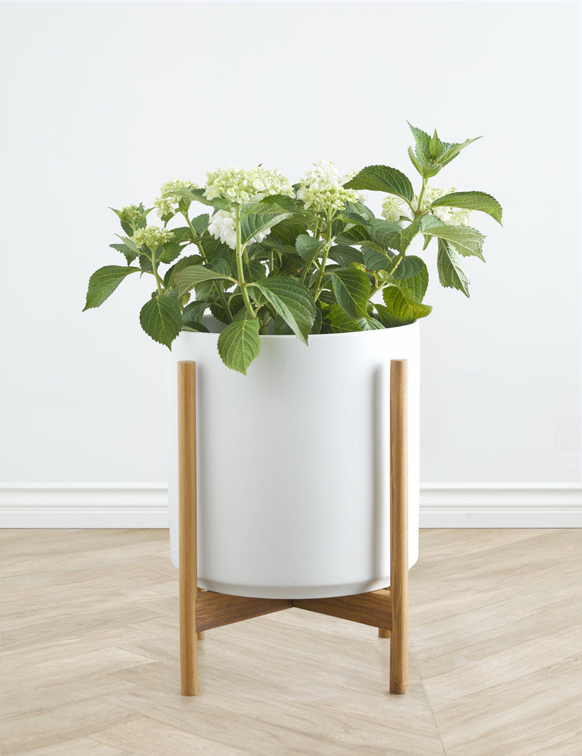 white plant pot on stand Ceramic Planter Pot + Teak Stand by LBE Design