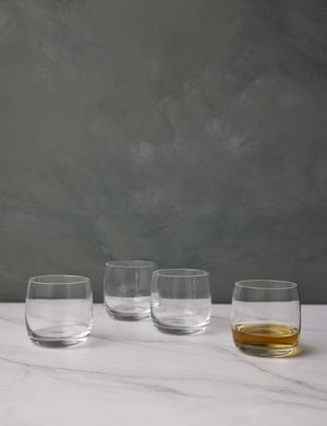 Borough Double Old Fashioned Tumbler (Set of 4) by LSA International