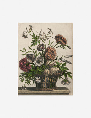 Marigolds, Single Anemone, Jasmine Print by Jean-Baptiste Monnoyer