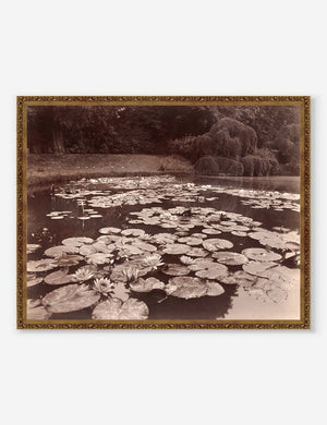 Nymphéas (Bagatelle) monochromatic Print that features lilies floating on a pond in a bronze frame by Eugène Atget