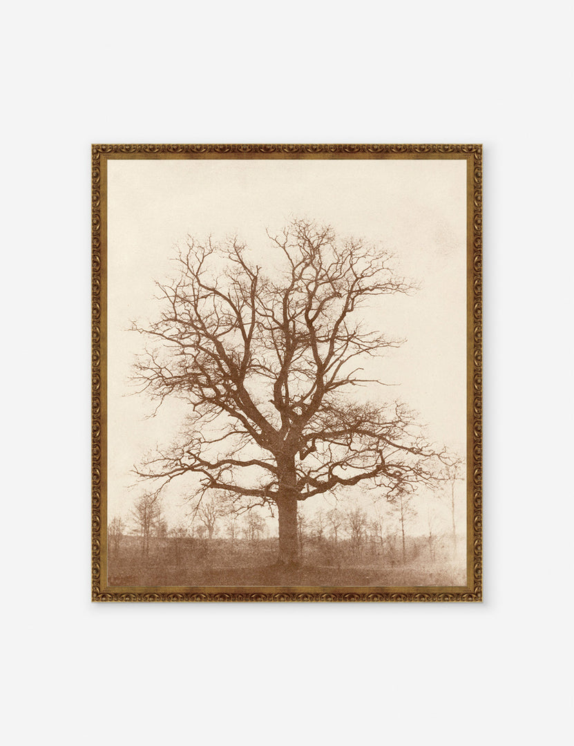 #frame-option::framed #color::gold #size::20--x-17- #size::26--x-22- #size::22--x-19- #size::28--x-24- | Oak Tree Print that features the silhouette of a bare tree on a faded horizon by William Henry Fox Talbot
