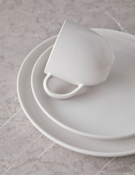 #color::salt | Angled view of the Pacifica salt white Dinnerware 5-Piece Place Setting by Casafina