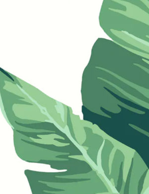 Pacifico Palm Wallpaper by Nathan Turner, Ivory