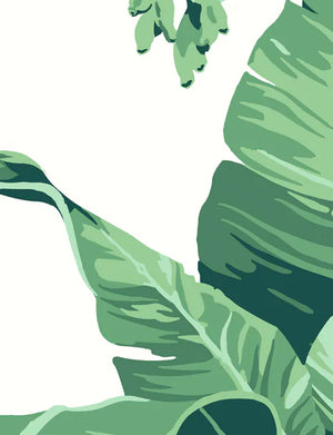 Pacifico Palm Wallpaper by Nathan Turner, Ivory