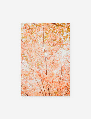 Pastel Fall Tree Photography Print unframed