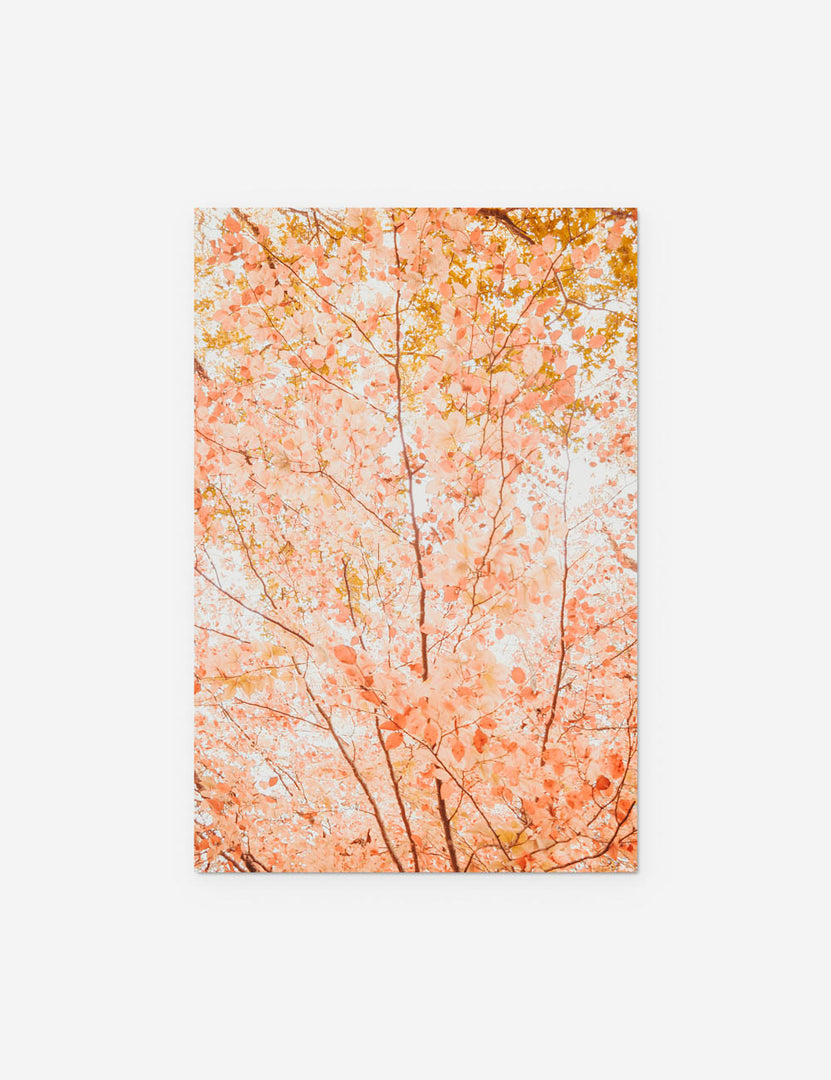 #frame-option::unframed #color::unframed #size::8--x-12- #size::16--x-24- #size::20--x-30- | Pastel Fall Tree Photography Print unframed