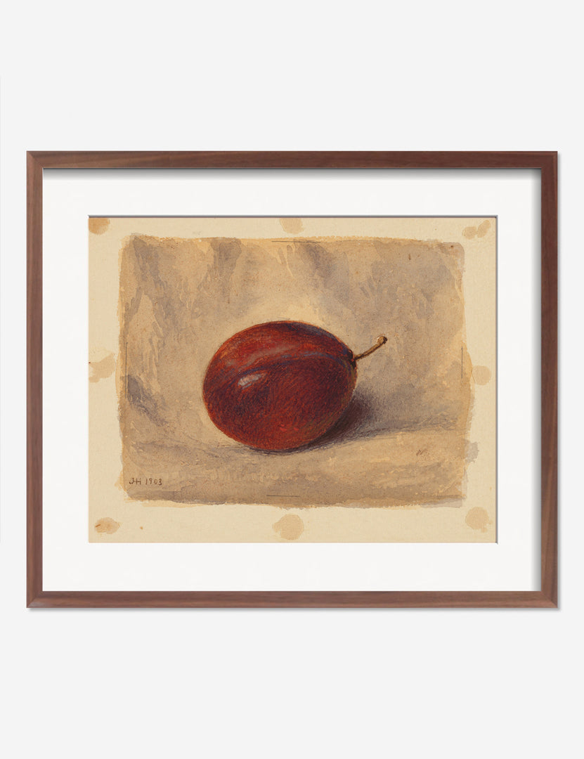 #frame-option::framed #color::walnut #size::205--x-175- #size::255--x-215-