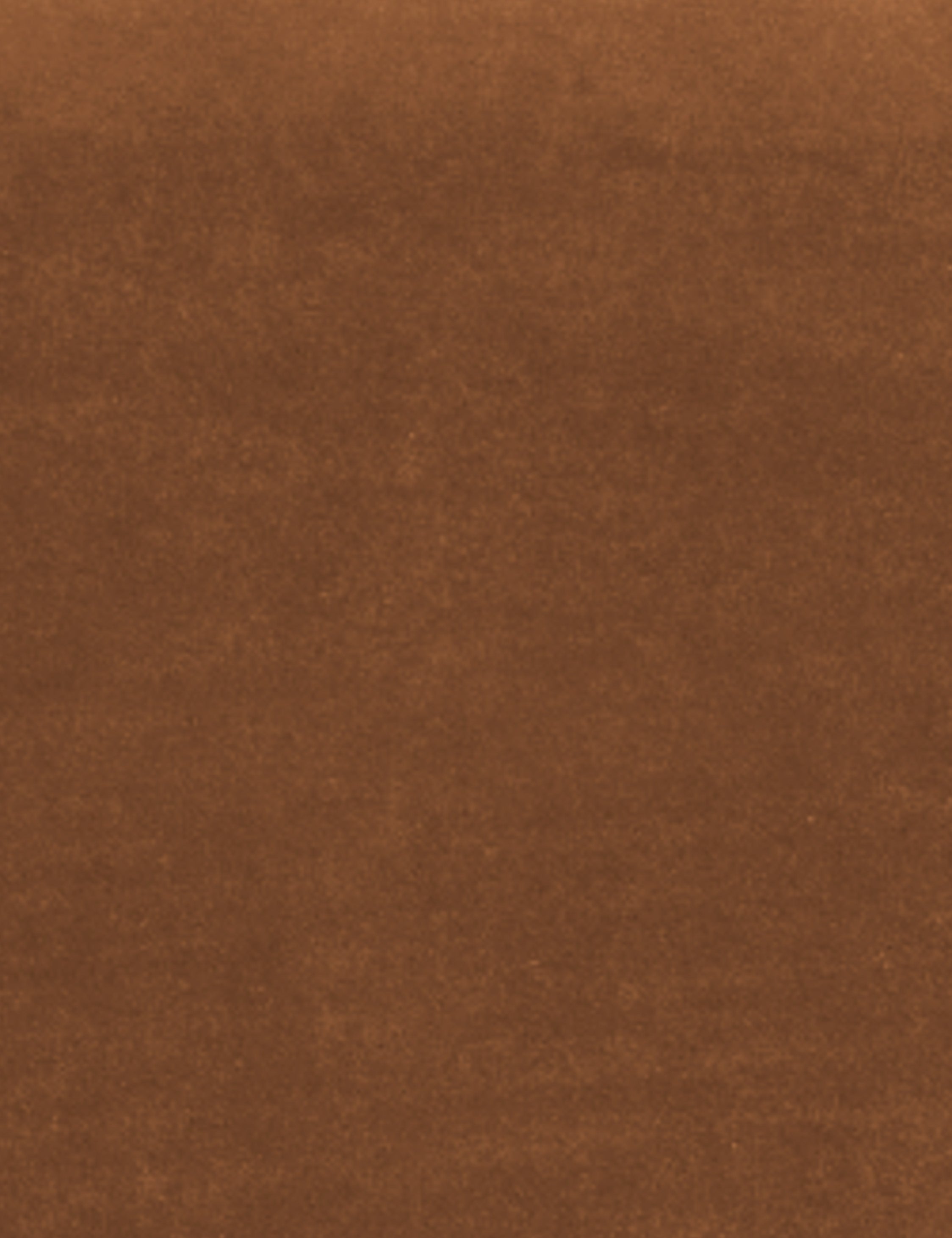 Rust Classic Velvet Fabric Swatch