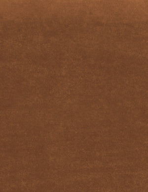 Rust Classic Velvet Fabric Swatch