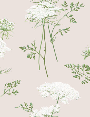 The Queens Lace Wallpaper by Sarah Jessica Parker, Oyster Swatch