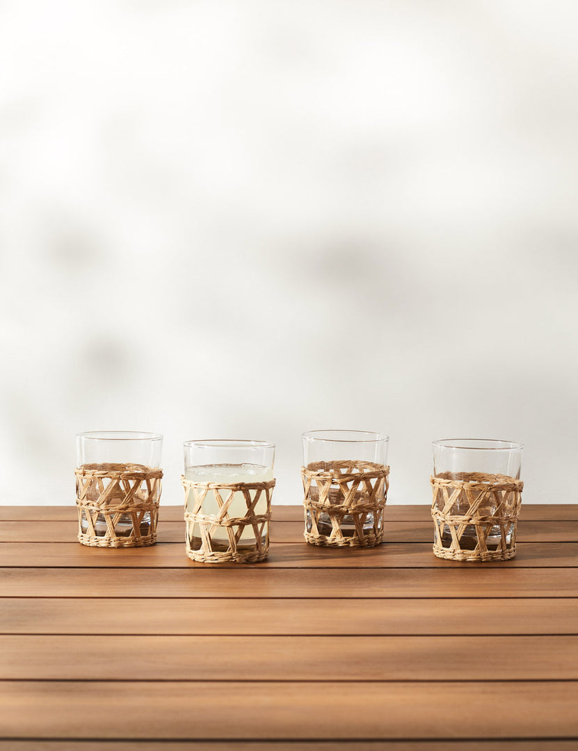 Shelly Tumblers (Set of 4)