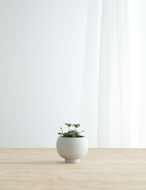 Sutton Ceramic Self-Watering Planter by Greenery Unlimited in cloud grey sits on a wooden table with a plant inside of it