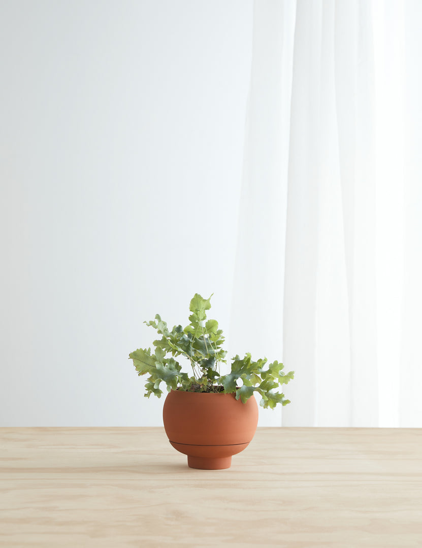 #color::terracotta | Sutton Ceramic Self-Watering Planter by Greenery Unlimited in terracotta sits on a wooden table with a plant inside of it