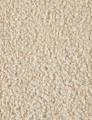 Teddy Fabric Swatch by Sarah Sherman Samuel