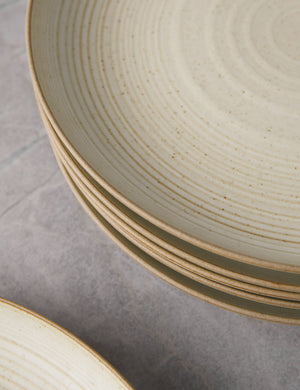 Close-up of the brown rims around the Set of six sand-toned stoneware nature dinner plates by thomas for rosenthal