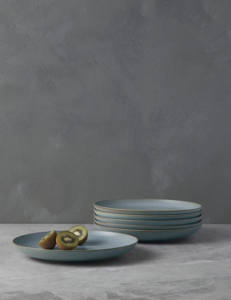#color::water | Set of six water blue stoneware nature dinner plates by thomas for rosenthal