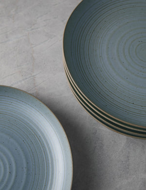Close-up of the ringed pattern on the inside of the set of six water blue stoneware nature dinner plates by thomas for rosenthal