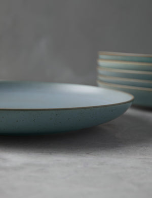Close-up of the brown rims around the set of six water blue stoneware nature dinner plates by thomas for rosenthal