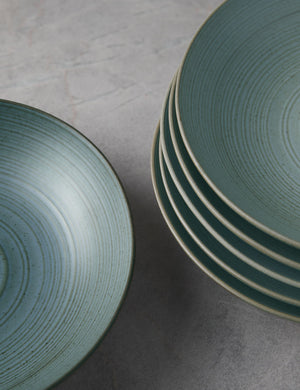 Close-up of the brown rims on the Set of 6 blue water Nature Soup Plates by Thomas for Rosenthal
