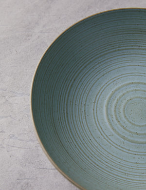 Close-up of the ringed pattern on the inside of the Set of 6 blue water Nature Soup Plates by Thomas for Rosenthal