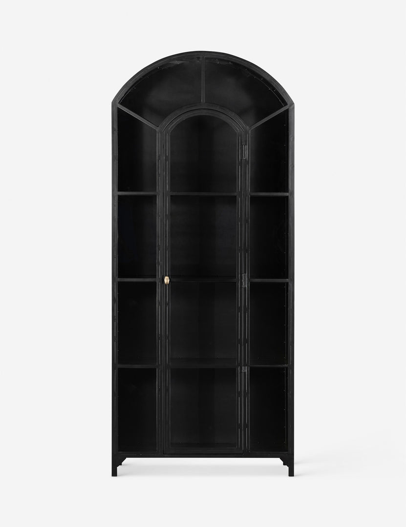 | Cressida matte black iron curio cabinet with glass paneled doors and brass hardware