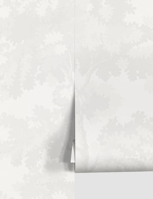 Scalamandre botanical inspired white raphael wallpaper