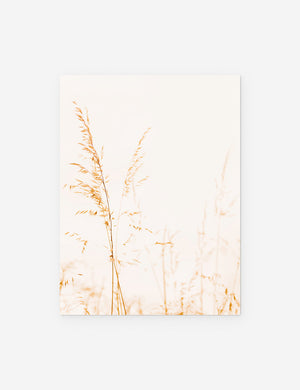 Wild Grass Photography Print unframed