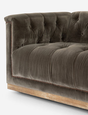 Close-up left view of Afia tufted gray-brown velvet sofa with nailhead trim and light wood base