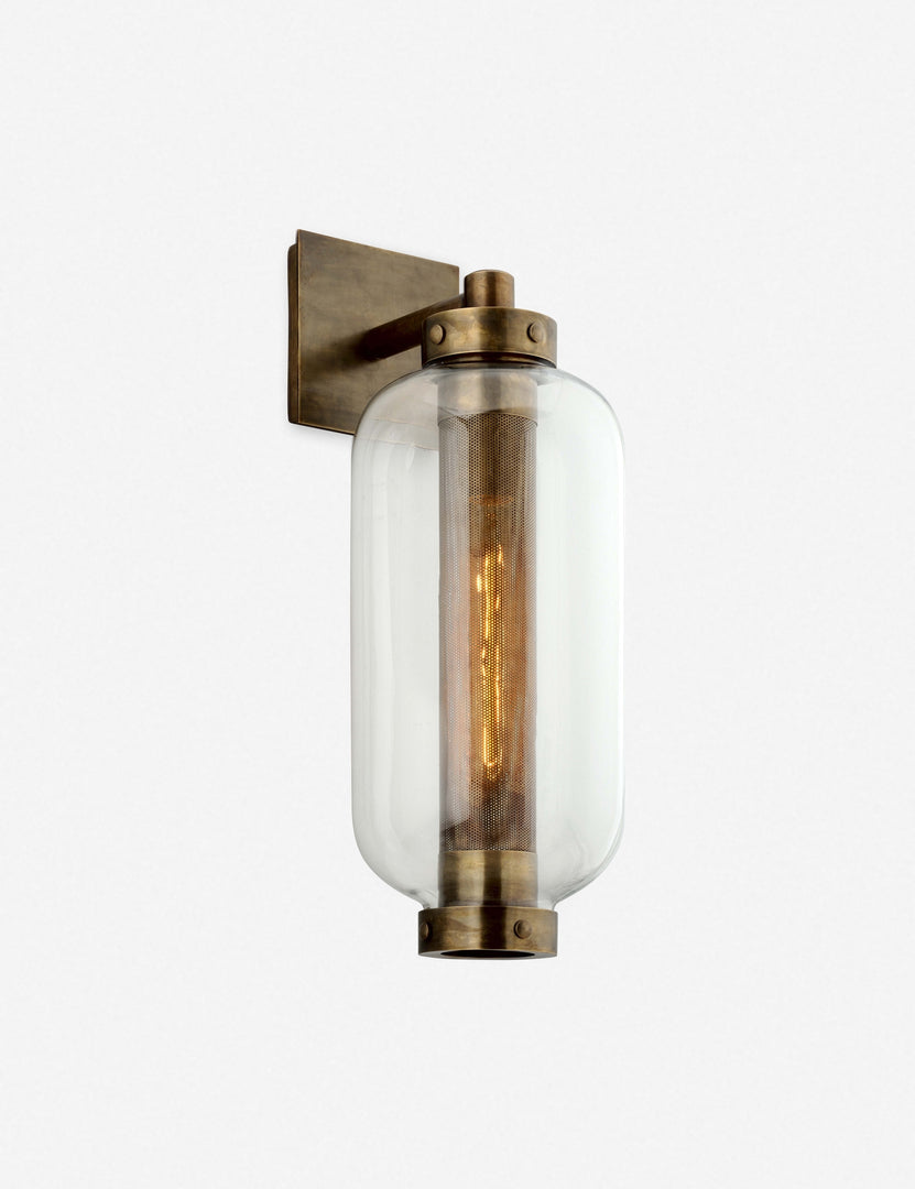| Romelia indoor and outdoor sconce with metal mesh encased bulb and brass hardware