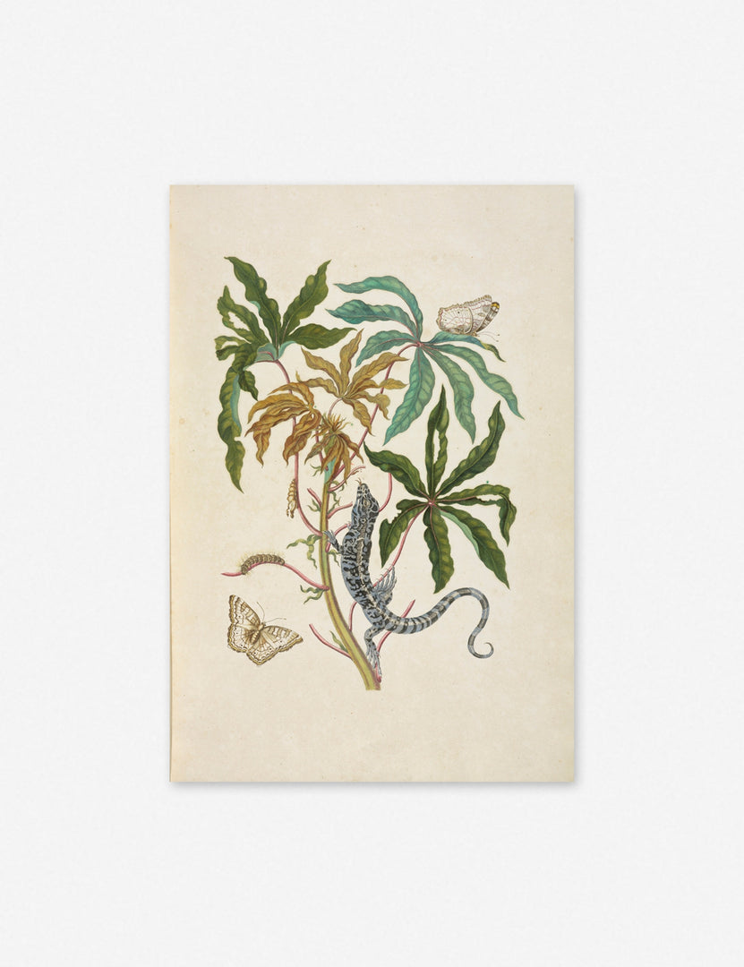 Cassava with White Peacock Butterfly and Young Golden Tegu Wall Art by Maria Sibylla Meria