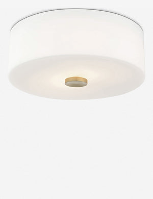 Cher frosted glass mount light with golden accents
