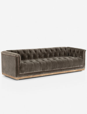 Angled left view of Afia tufted gray-brown velvet sofa with nailhead trim and light wood base
