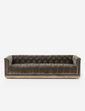 Afia tufted gray-brown velvet sofa with nailhead trim and light wood base