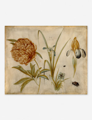 Flowers and Beetles Wall Art by Hans Hoffman Gold